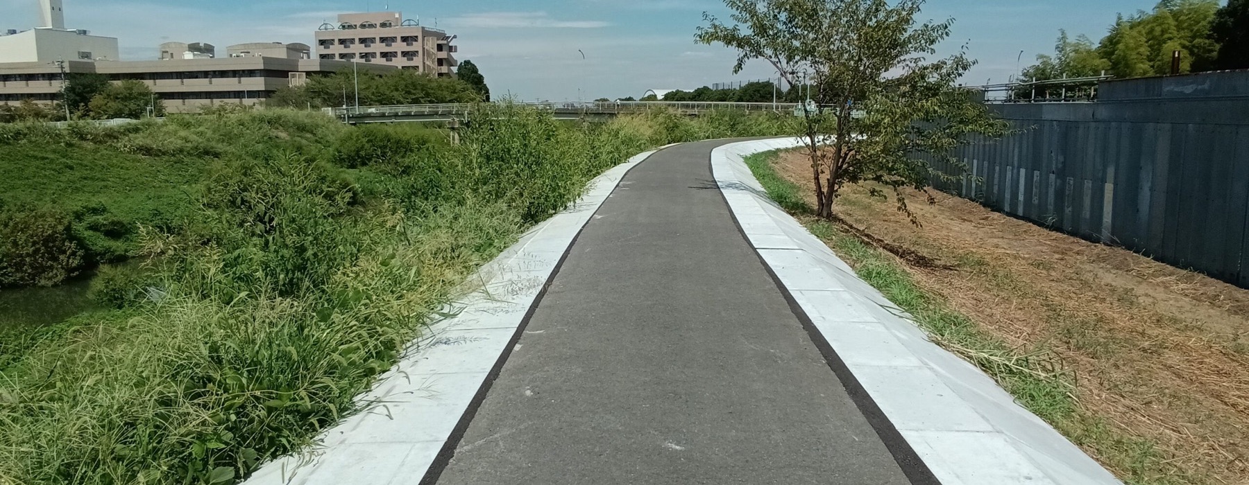 緑の河川沿いに整備された遊歩道